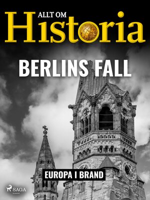 cover image of Berlins fall
